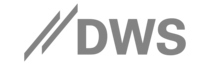 Logo: DWS Group