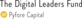 Logo: The Digital Leaders Fund